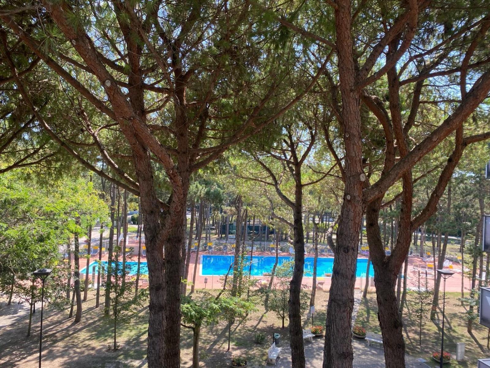 Appartamento Sporting ビビオーネ エクステリア 写真